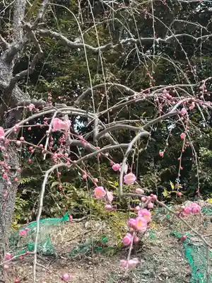大縣神社(愛知県)