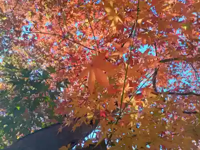 慈眼寺(大阪府)