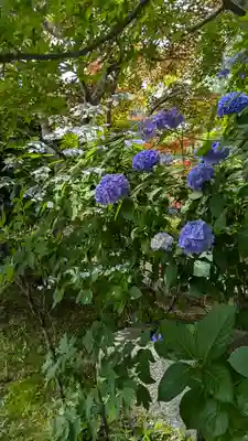 正法寺(京都府)