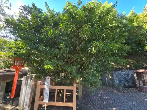 橘本神社(和歌山県)