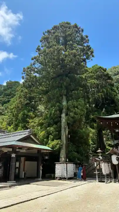 日牟禮八幡宮(滋賀県)