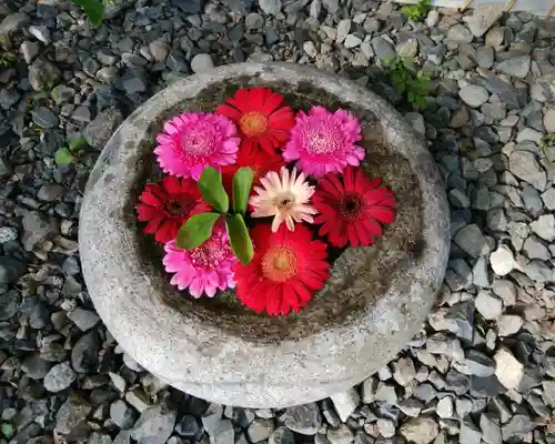 帯廣神社の手水