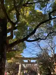 屯倉神社(大阪府)