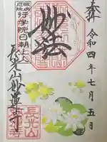 妙蓮寺の御朱印