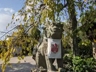 三輪坐恵比須神社の狛犬