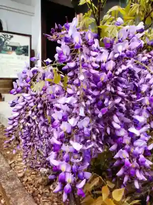 神足寺(東京都)