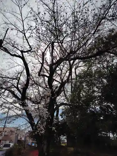  観音堂 (埼玉県)