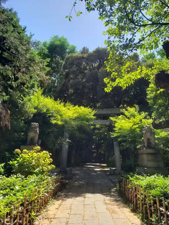 赤坂氷川神社(東京都)