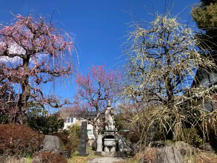 法蓮寺(神奈川県)