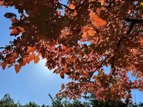 鏡石鹿嶋神社 ＊安産・開運・勝利の神さま＊(福島県)