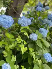 糠部神社(青森県)