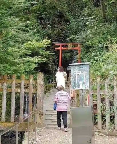 松尾大社の鳥居