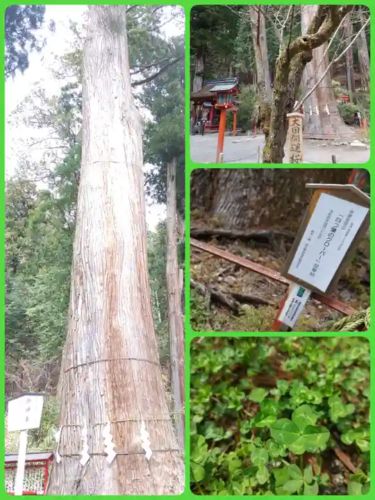 日光二荒山神社(栃木県)