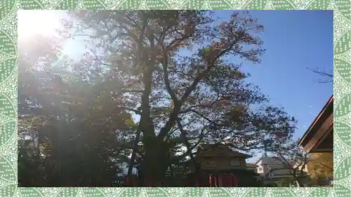 秩父今宮神社(埼玉県)