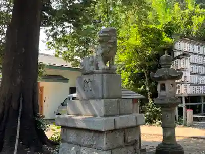 下高井戸八幡神社の狛犬