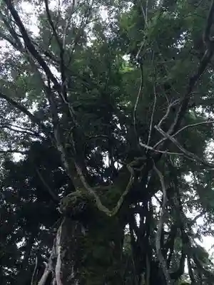 阿上三所神社(京都府)