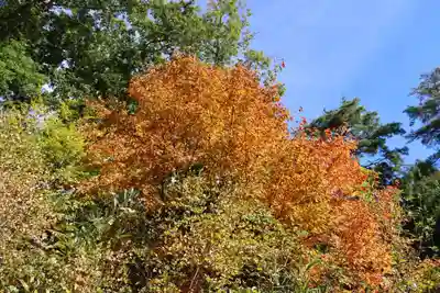 大六天麻王神社(福島県)