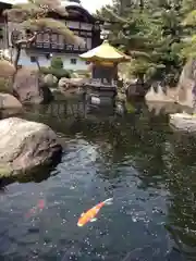 乗蓮寺の庭園