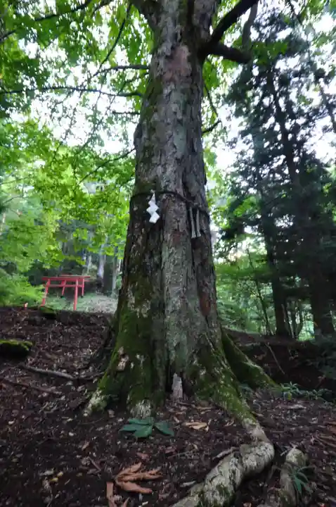 河口浅間神社(山梨県)