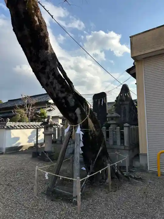 十市御縣坐神社(奈良県)