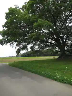 神明神社(千葉県)