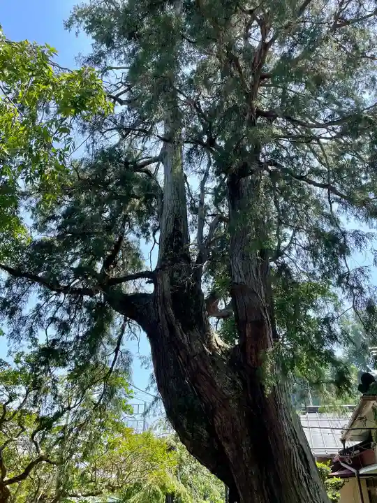 真福寺(神奈川県)