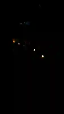 東林院(京都府)