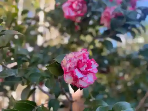 大安寺(奈良県)