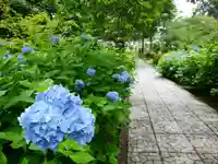 有珠善光寺(北海道)