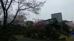 常葉神社(岐阜県)