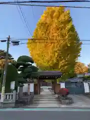 東光寺(東京都)