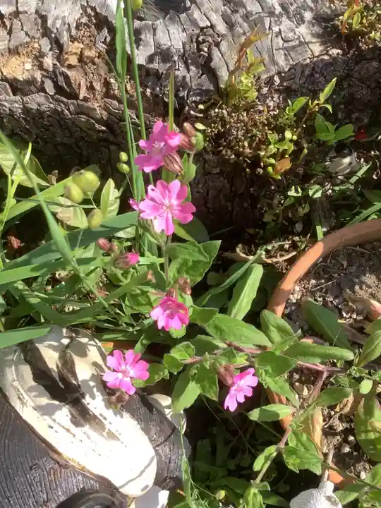 三輪神社の自然
