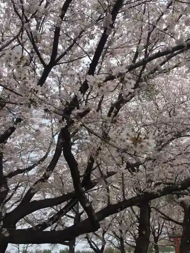 東蕗田天満社の自然