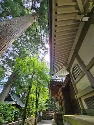 最乗寺（道了尊）(神奈川県)