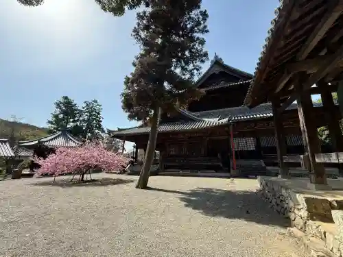 粉河寺の{uncategorized: "未分類", other: "その他", undefined: "問題あり", building: "その他建物", grave: "お墓", sacred_gate: "鳥居", guardian: "狛犬", statue: "像", buddha: "仏像", history: "歴史", nature: "自然", garden: "庭園", animal: "動物", pagoda: "塔", temizu: "手水舎", mountain_gate: "山門・神門", sanctuary: "本殿・本堂", subordinate: "末社・摂社", art: "芸術", scenery: "景色", jizo: "地蔵", ema: "絵馬", goshuin: "御朱印", omikuji: "おみくじ", items: "授与品その他", amulet: "お守り", goshuincho: "御朱印帳", eats: "食事", festival: "お祭り", votive_dance: "神楽", shichigosan: "七五三参", wedding: "結婚式", experience: "体験その他", initially: "初詣", around: "周辺", anti_infection: "感染症対策"}