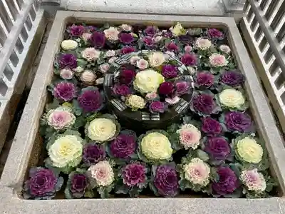 長浜八幡宮の手水舎