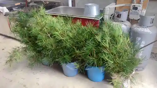 正暦寺(京都府)