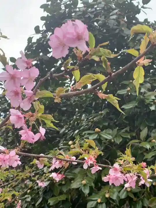鹿嶋神社の自然