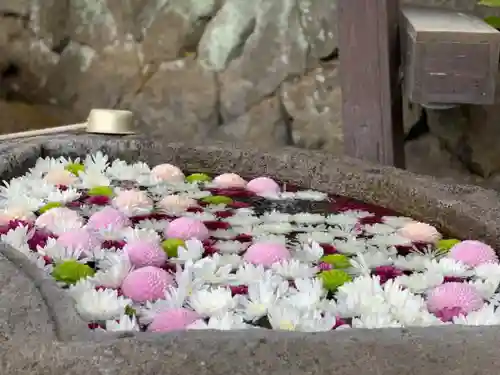 三峯神社の手水