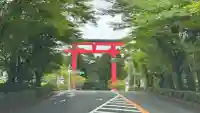 霧島神宮(鹿児島県)