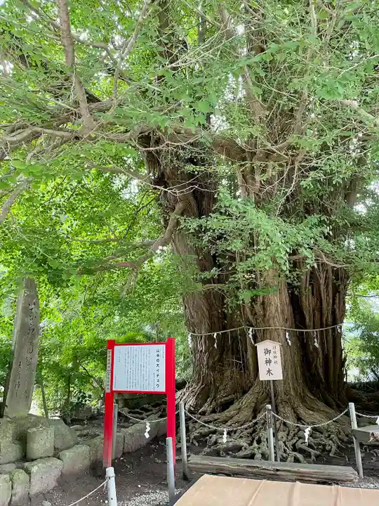 山寺日枝神社(山形県)