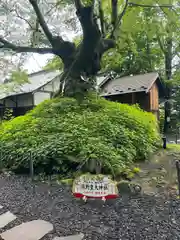 熊野皇大神社(長野県)