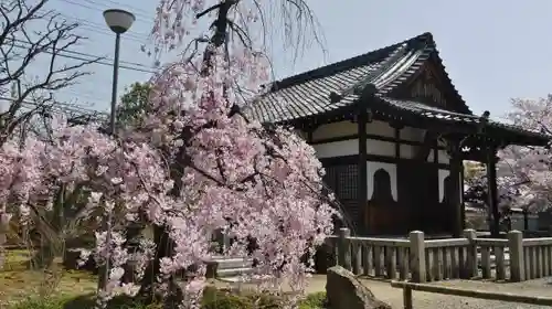 上品蓮台寺のその他建物