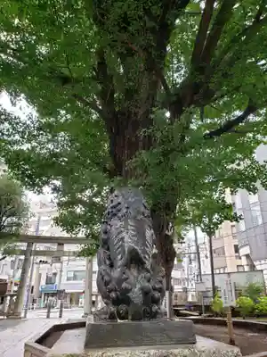鳩森八幡神社の狛犬