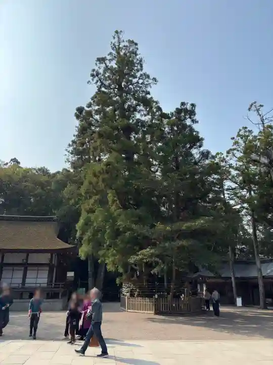 大神神社の{uncategorized: "未分類", other: "その他", undefined: "問題あり", building: "その他建物", grave: "お墓", sacred_gate: "鳥居", guardian: "狛犬", statue: "像", buddha: "仏像", history: "歴史", nature: "自然", garden: "庭園", animal: "動物", pagoda: "塔", temizu: "手水舎", mountain_gate: "山門・神門", sanctuary: "本殿・本堂", subordinate: "末社・摂社", art: "芸術", scenery: "景色", jizo: "地蔵", ema: "絵馬", goshuin: "御朱印", omikuji: "おみくじ", items: "授与品その他", amulet: "お守り", goshuincho: "御朱印帳", eats: "食事", festival: "お祭り", votive_dance: "神楽", shichigosan: "七五三参", wedding: "結婚式", experience: "体験その他", initially: "初詣", around: "周辺", anti_infection: "感染症対策"}