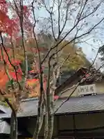 明月院(神奈川県)