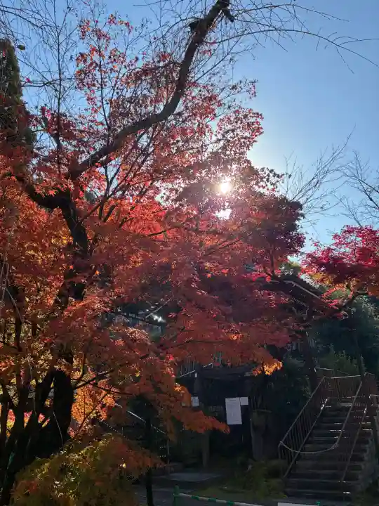 禅林寺(永観堂)の{uncategorized: "未分類", other: "その他", undefined: "問題あり", building: "その他建物", grave: "お墓", sacred_gate: "鳥居", guardian: "狛犬", statue: "像", buddha: "仏像", history: "歴史", nature: "自然", garden: "庭園", animal: "動物", pagoda: "塔", temizu: "手水舎", mountain_gate: "山門・神門", sanctuary: "本殿・本堂", subordinate: "末社・摂社", art: "芸術", scenery: "景色", jizo: "地蔵", ema: "絵馬", goshuin: "御朱印", omikuji: "おみくじ", items: "授与品その他", amulet: "お守り", goshuincho: "御朱印帳", eats: "食事", festival: "お祭り", votive_dance: "神楽", shichigosan: "七五三参", wedding: "結婚式", experience: "体験その他", initially: "初詣", around: "周辺", anti_infection: "感染症対策"}