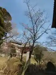 楽法寺（雨引観音）(茨城県)