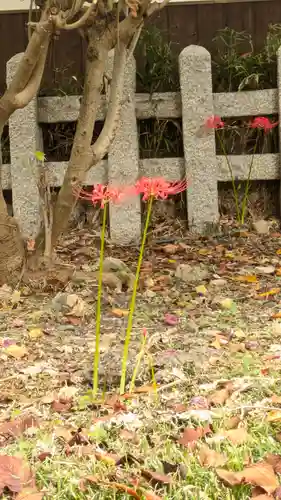平野神社(京都府)