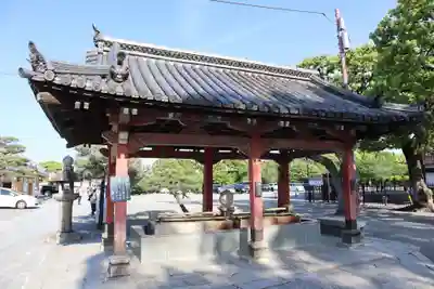 東寺(教王護国寺)の手水舎